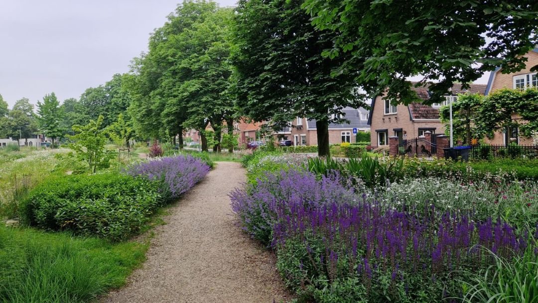 Remisepark Lichtenvoorde