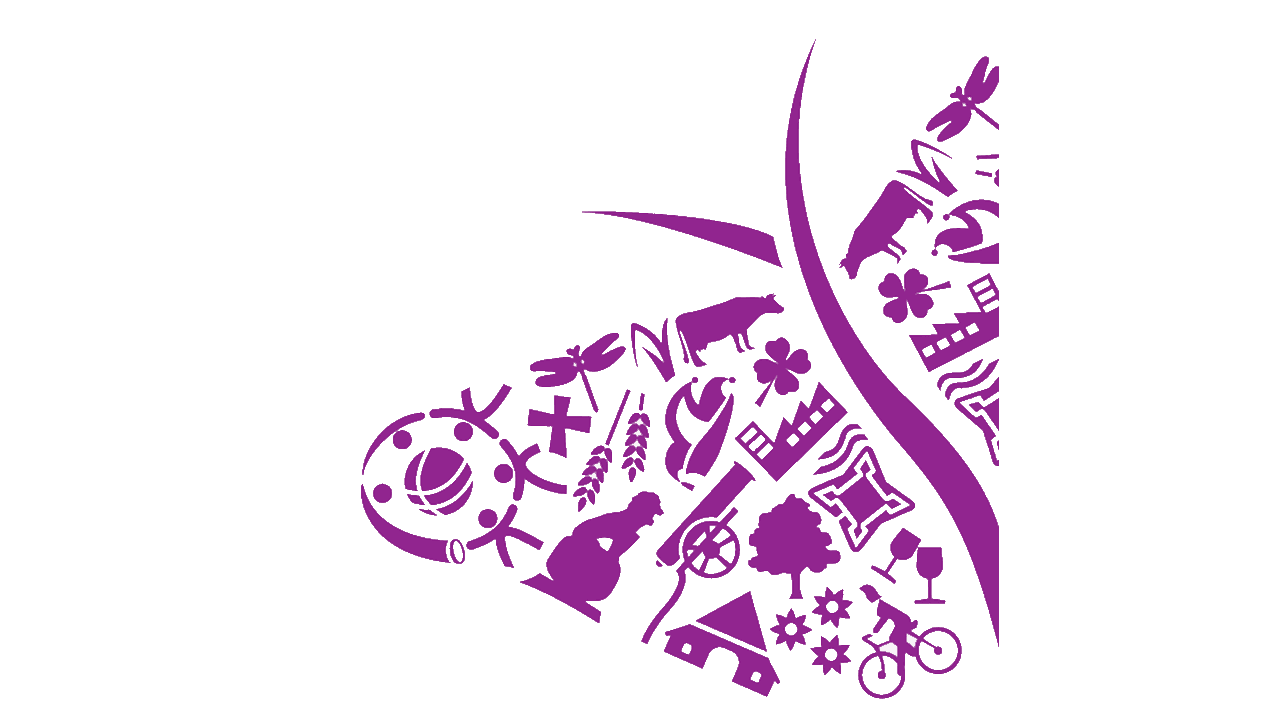 Logo gemeente Oost Gelre vlinder