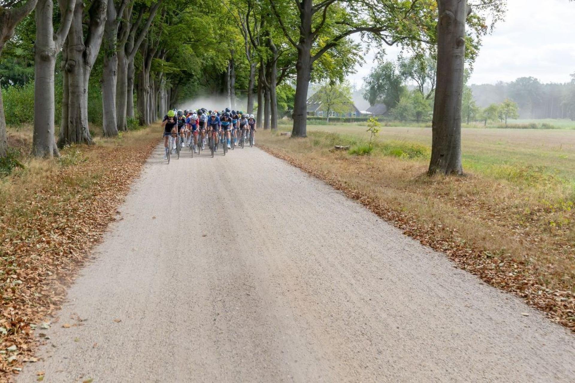 Ronde van de Achterhoek, foto met wielrenners tussen een rij bomen